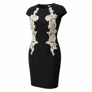 ANNE KLEIN Dainty Dress Black White Lace Appliqué Sheath Midi Cap Sleeves Size 4
